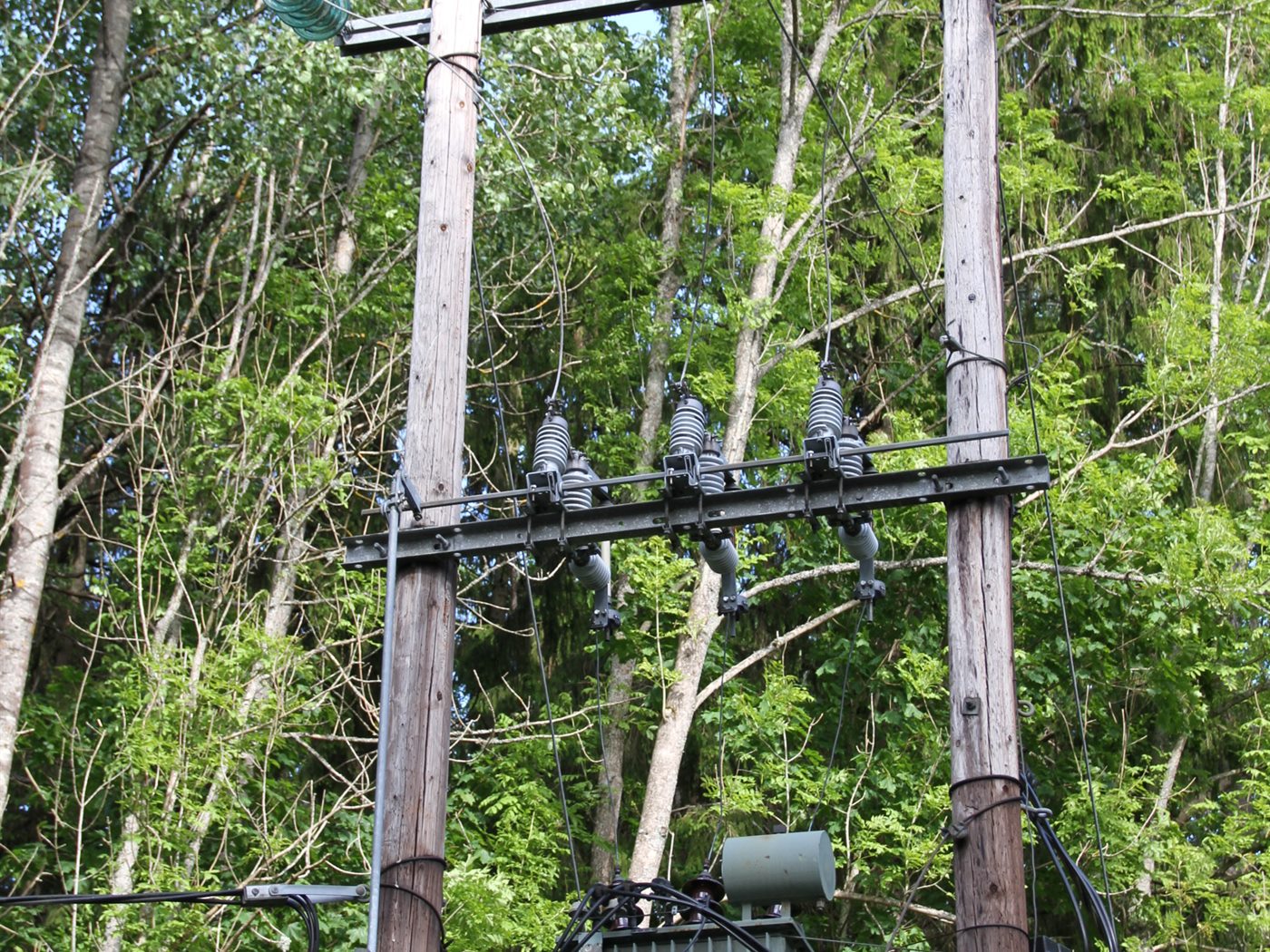 Oil-Immersed Distribution Transformer